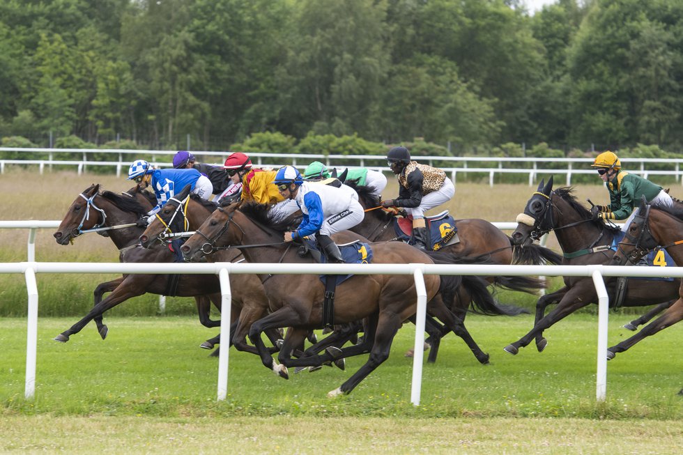 Göteborg Galopp Lopp 2 6336.jpeg