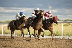 Bro Park Grimeford Lane.jpg