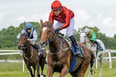 HIPSTER_S2_8587 Hipster redigerad