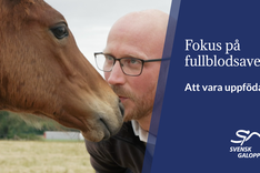Fokus på fullblodsavel 1 Thumbnail.png