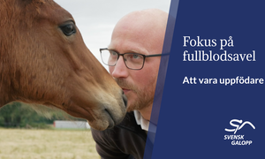 Fokus på fullblodsavel 1 Thumbnail.png