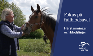 HNS Helena och Tor Sigfridsson Thumbnail 2.png