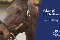 HNS Ivan Sjöberg Thumbnail 3.png