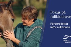 HNS Eva Isacsson Sjunnesson Thumbnail 6.jpg