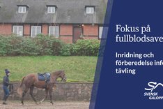 HNS Nathalie Johnsson Thumbnail 7.jpg