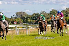 HRi73YUw Eternity Tree.jpeg