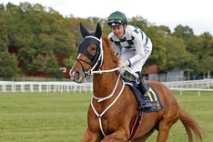 Hard One To Please 7