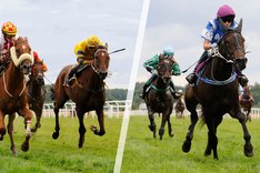 Headerbild hemsidan 2 bilder