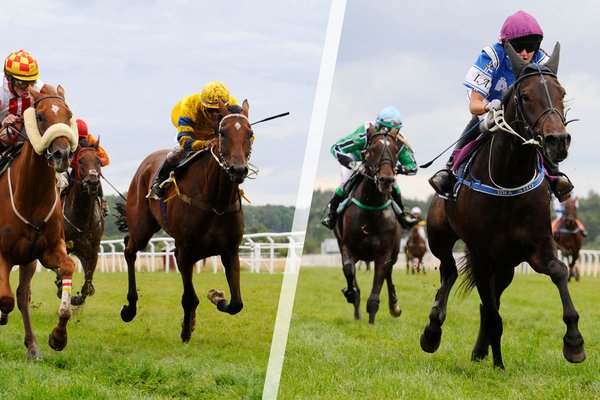 Headerbild hemsidan 2 bilder