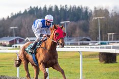 IAppleESTL4319 vinner på Övrevoll 6 november.jpg