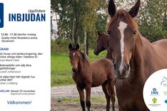 Inbjudan_fb_241130