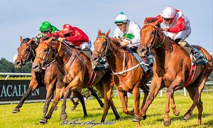 Irish Action