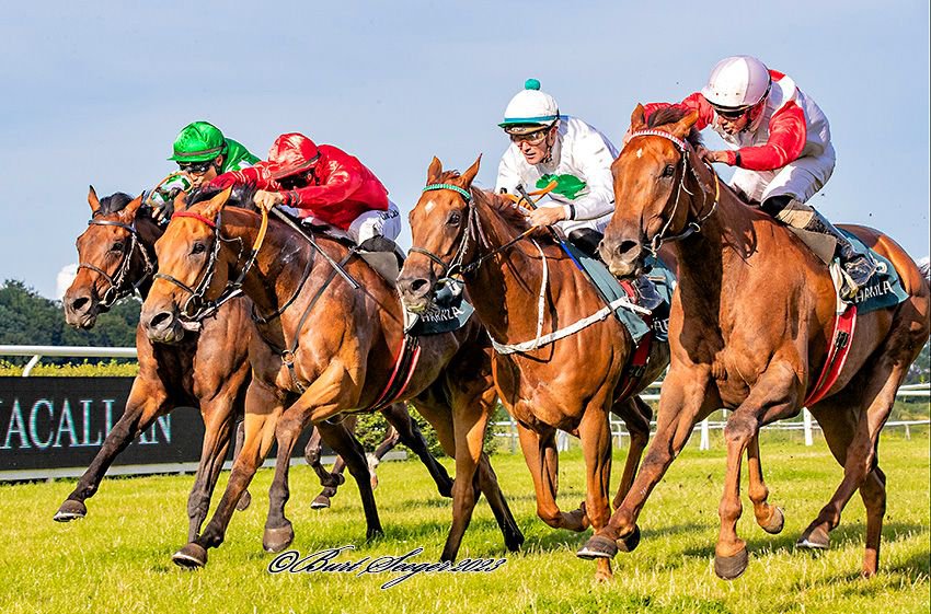 Irish Action
