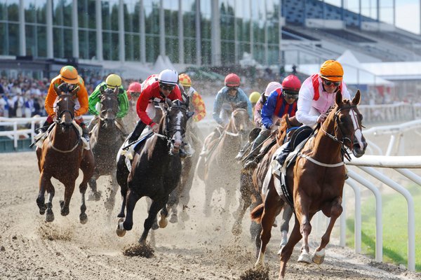 Jägersro Derbykurva på Jägersro.jpg