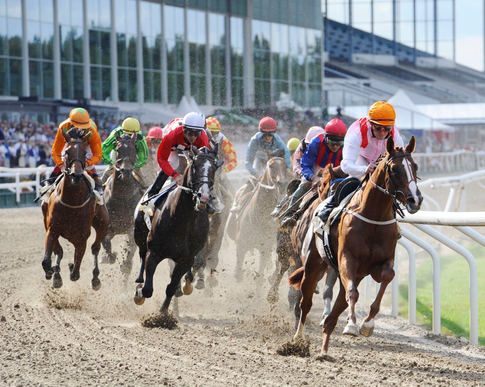 Jägersro Derbykurva på Jägersro.jpg