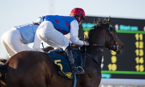 JockeyHaÌst.jpg