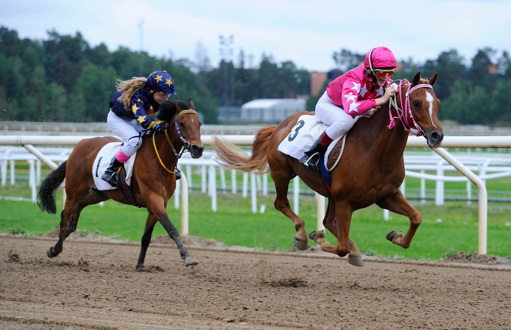 Just My Easy Lover och Angelika Berg vinner på Täby Galopp 2013.jpg