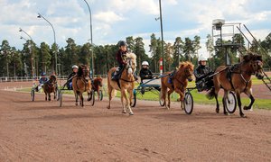 Köra_rida_tävlingsbanan.JPG