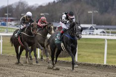 Lady Daniela_S3I4076.jpg