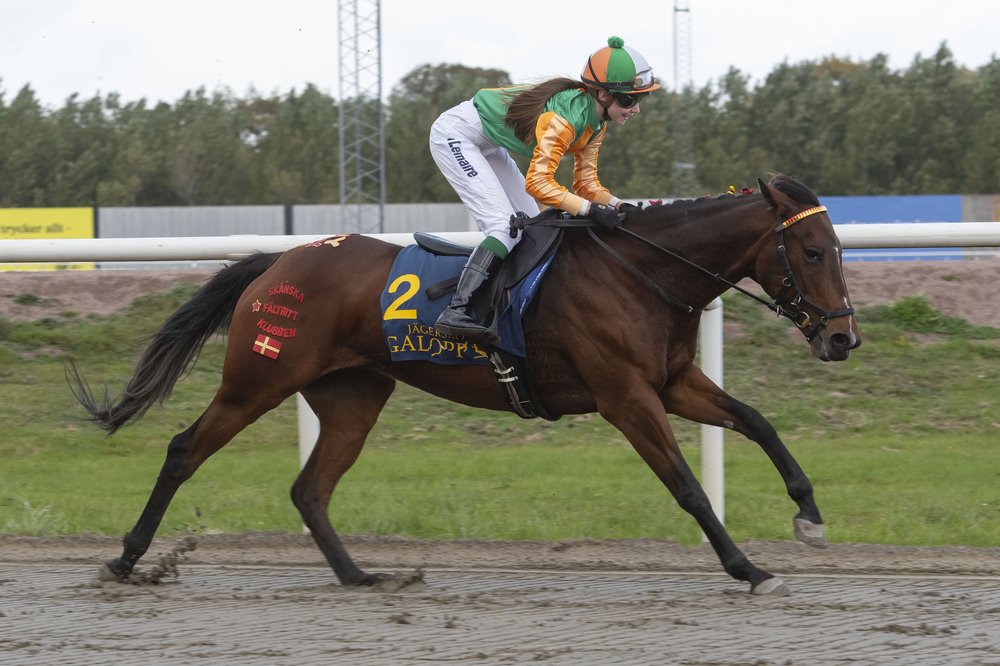 Little Spirit 7579