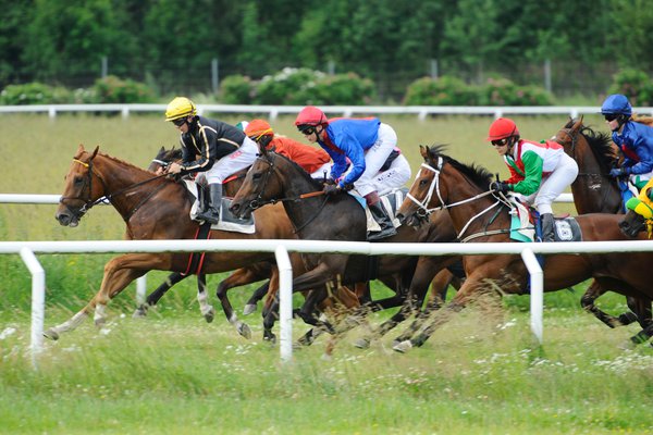 Lopp 8 6009 på Göteborg Galopp.jpg