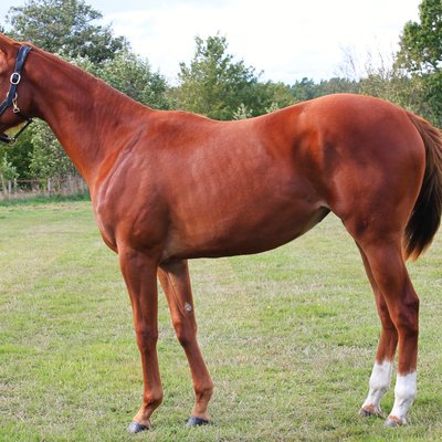 Lot 57