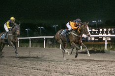 Lynghonning_S8I3250 och Manuel Martinez den 9 november