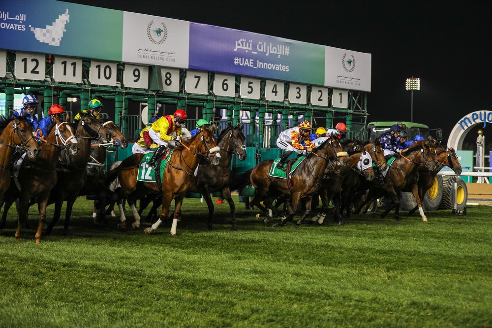 MASTER BLOOM (SWE)-7449 racing bildspel.JPG