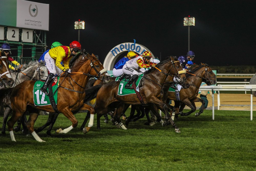 MASTER BLOOM (SWE)-7457 racing.JPG