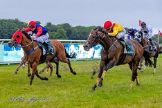 MLXZ-plY Freemanip 23 juli.jpeg