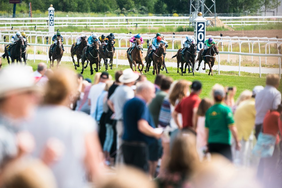 Publik på Bro Park Super Sunday 2019 MOF190616-103016.jpg