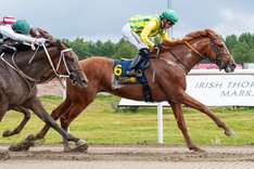 Mendels Rock Hurricane TOP