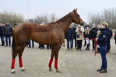 Mrs Loreen 5309.jpeg