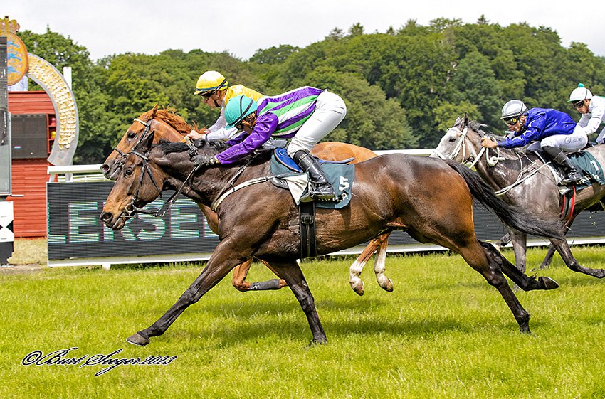 NEGROAMARO_S2_7407 vinner på Klampenborg 17 juni