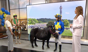 Nyhetsmorgon Nationaldagsgaloppen 2026