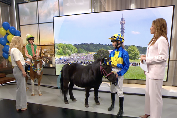Nyhetsmorgon Nationaldagsgaloppen 2026