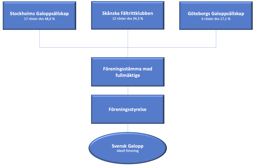 Organisationsstruktur SGIF.png