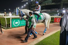 PLATO O PLOMO (USA)-9539.JPG