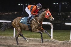 Pine River_S3I3663.jpg