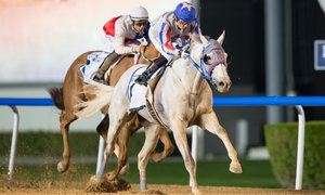 Plata O Plomo (S Berneklint–C lopez)wins MinaHamriya er drc 300120.jpg