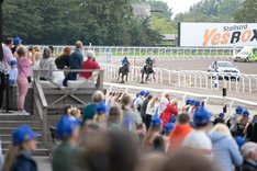 Publik-6 jägersro
