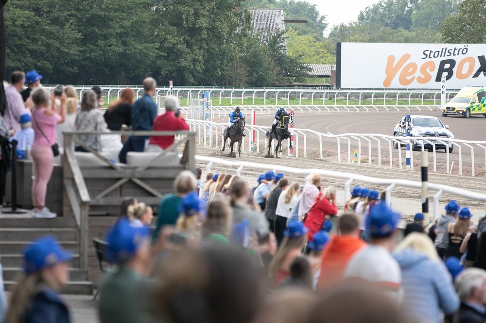 Publik-6 jägersro