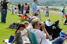 Publik 5202 på Göteborg Galopp.jpg