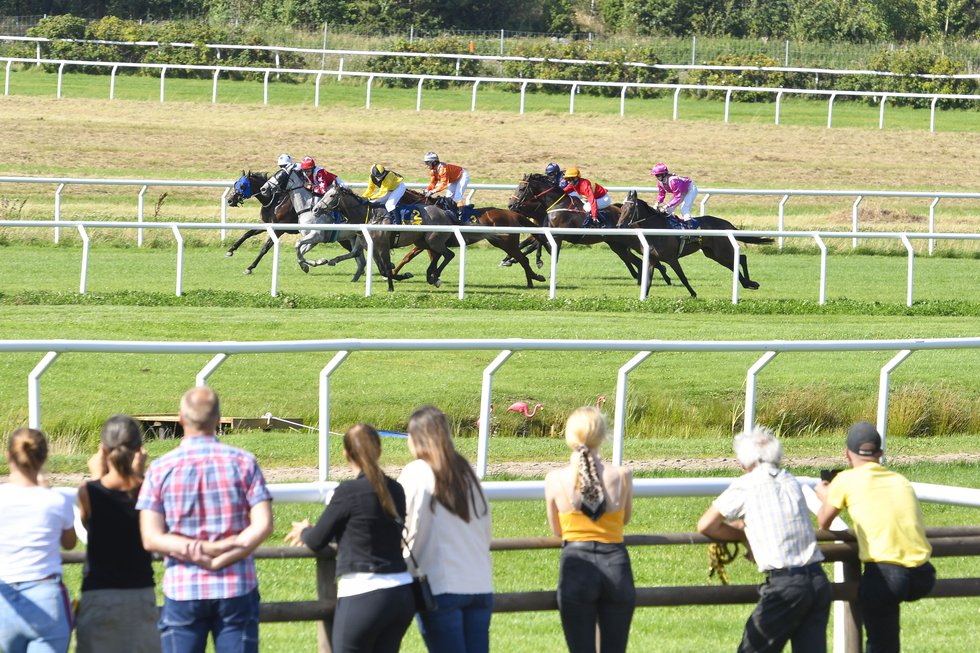 Publik framför galopphästar på Göteborg Galopp2.jpg