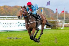 Q_Q_24vA Bolivar Roads.jpeg