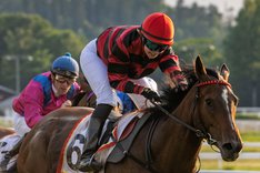 Quebello_S3I7774 vinner Oslo Cup på Övrevoll 25 juni kopia