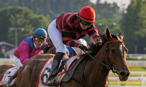 Quebello_S3I7774 vinner Oslo Cup på Övrevoll 25 juni kopia