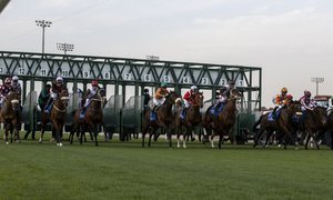 RS8012_2022.02.25_IJC_RACE 4_Mahmoud Khaled_MK1_5061 Master Bloom.JPG