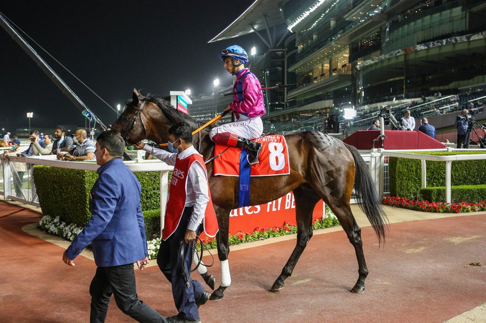 Race 8-2268.JPG