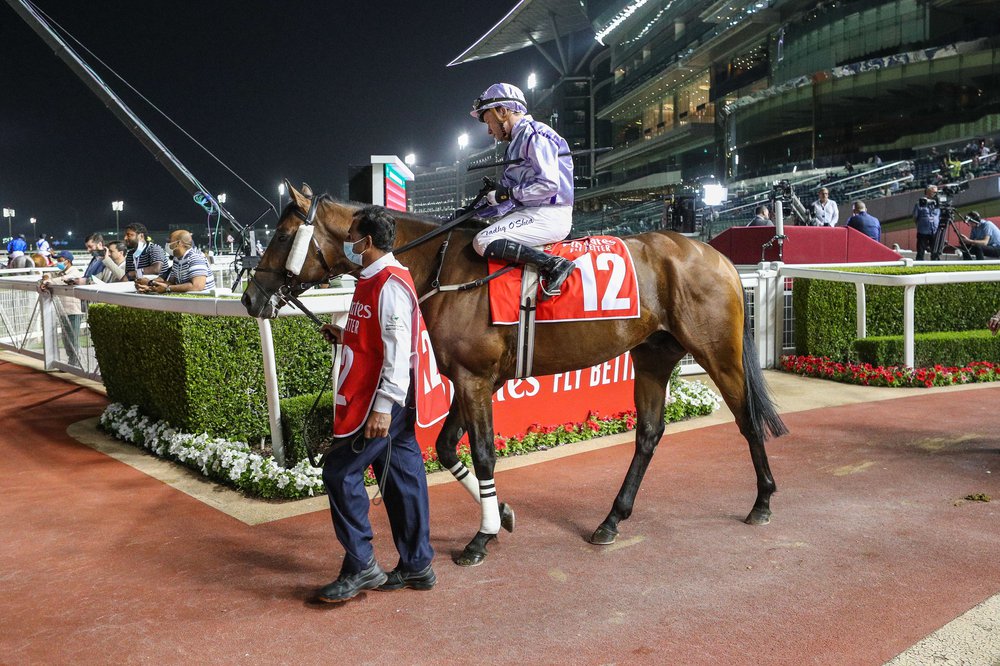 Race 8-2290.JPG